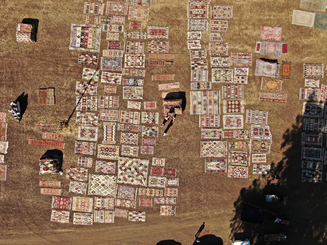 Bu hasat başka hasat! Fiyatları 5 bin liradan başlıyor: Geceleri nöbet tutuyorlar