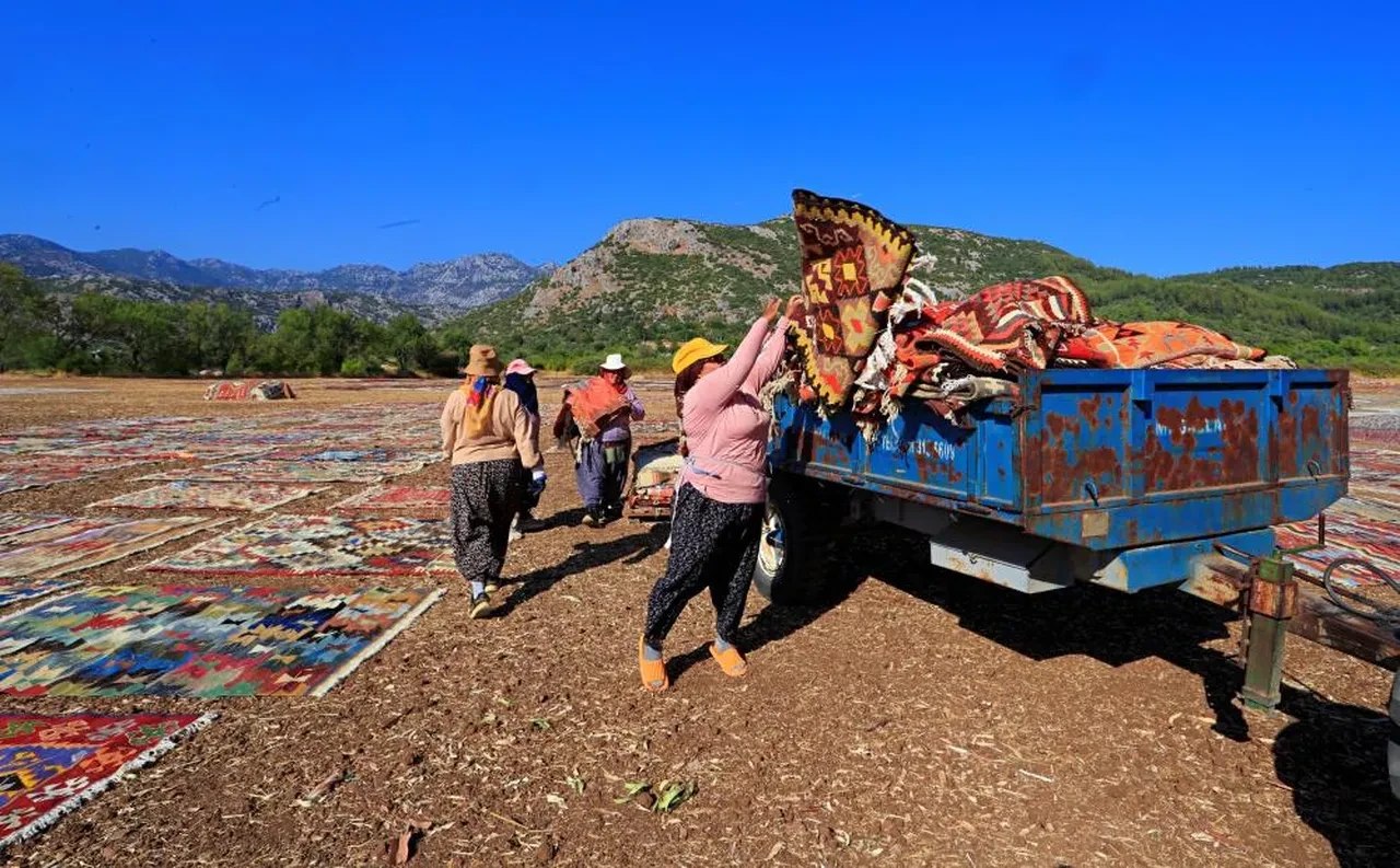 Bu hasat başka hasat! Fiyatları 5 bin liradan başlıyor: Geceleri nöbet tutuyorlar