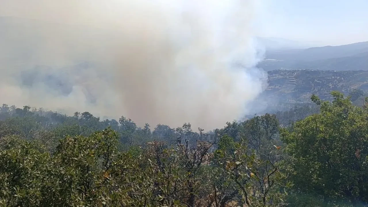 Denizli'de başlayan yangın Aydın'a sıçradı! Alevler büyüyor