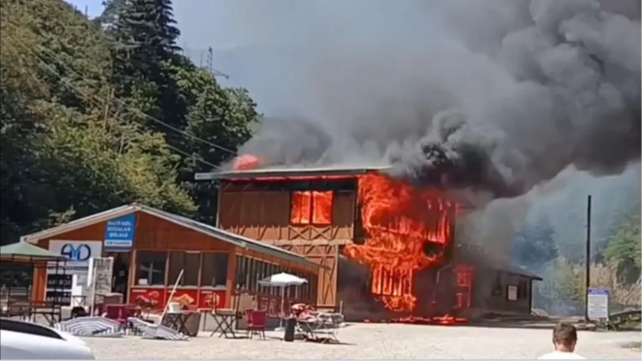Giresun'da yangın felaketi! Önce sel, şimdi alevlere teslim oldu 