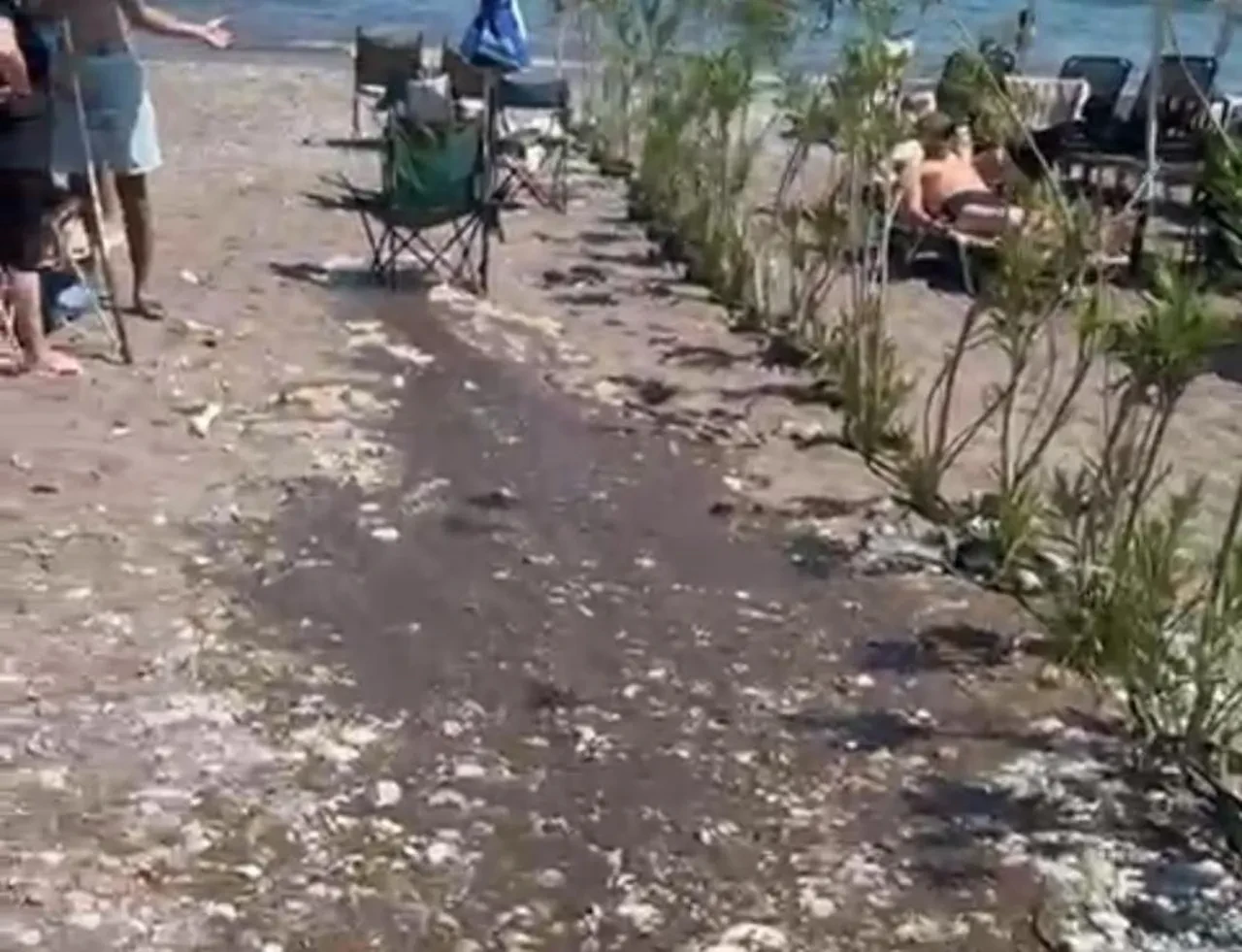 Otelin havuz suyu halk plajına aktı: Numune alındı!