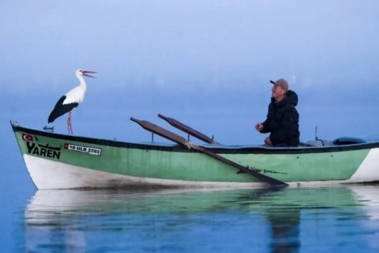 Yaren Leylek bu yıl kötü sürpriz yaptı! Adem amca hüzne boğuldu