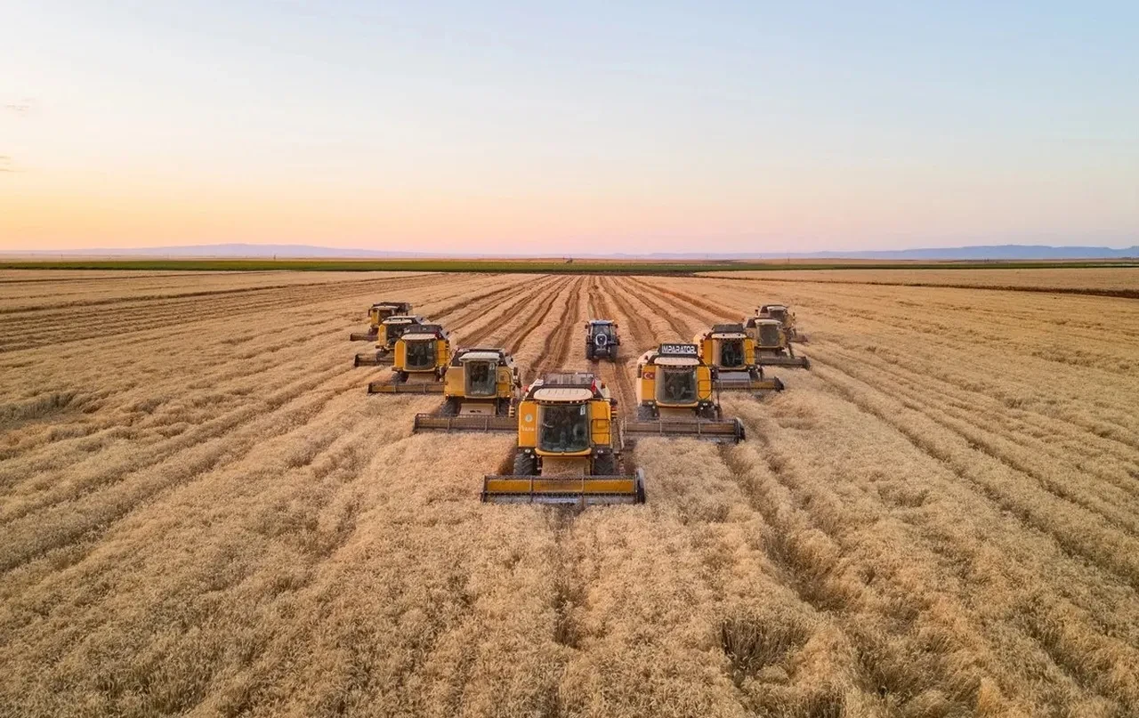 14 bin dekar arazi tarıma kazandırılıyor! Devlet kiraya verecek, işte başvuru şartları