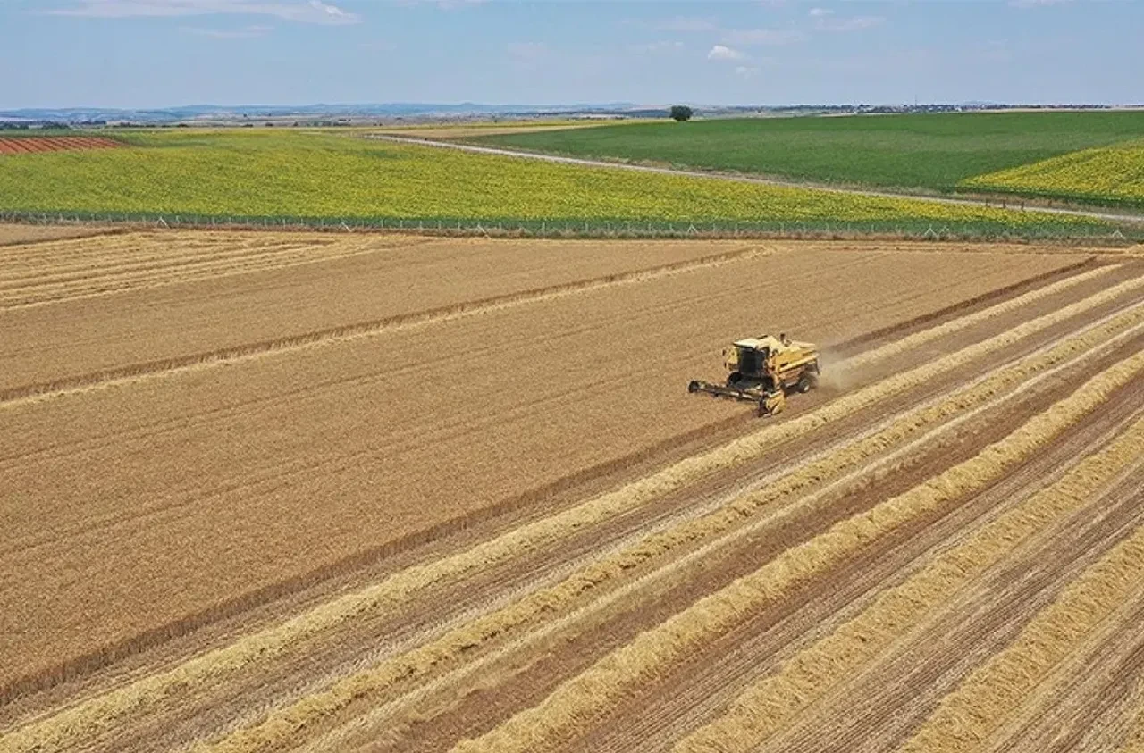 14 bin dekar arazi tarıma kazandırılıyor! Devlet kiraya verecek, işte başvuru şartları