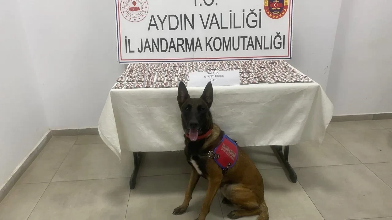 Aydın