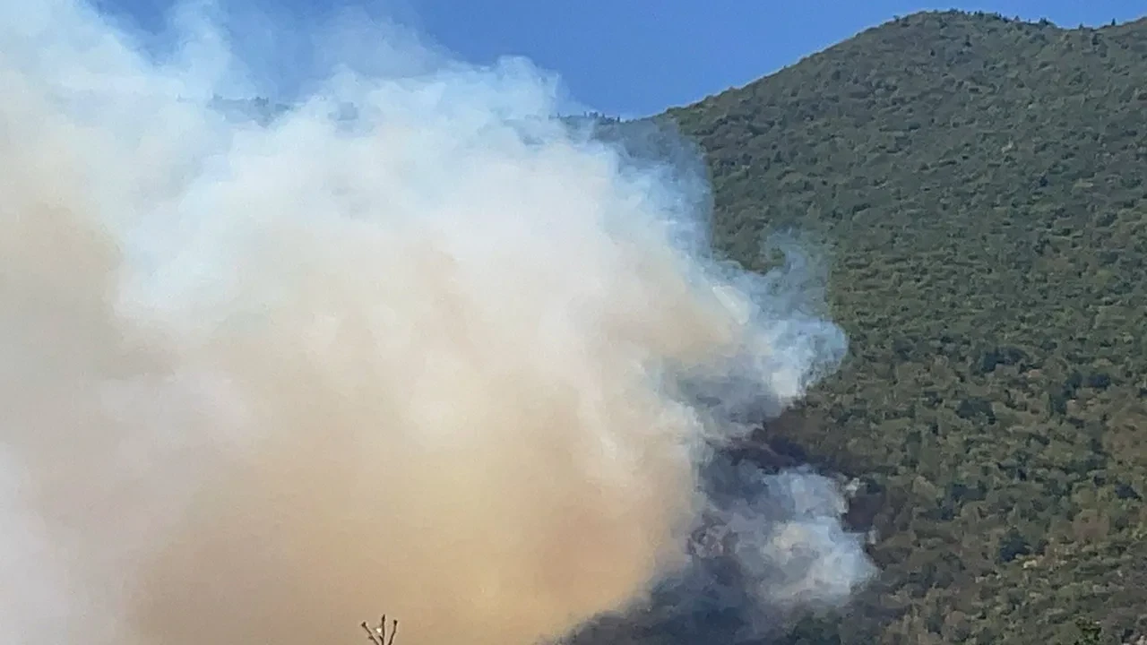 Bartın'da korkutan yangın! Küre Dağları Milli Parkı'ndan alevler yükseldi