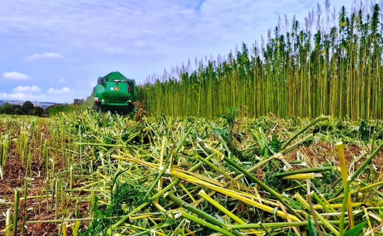 ÇKS’de yeni düzenleme! Yönetmelik tamamen değişti