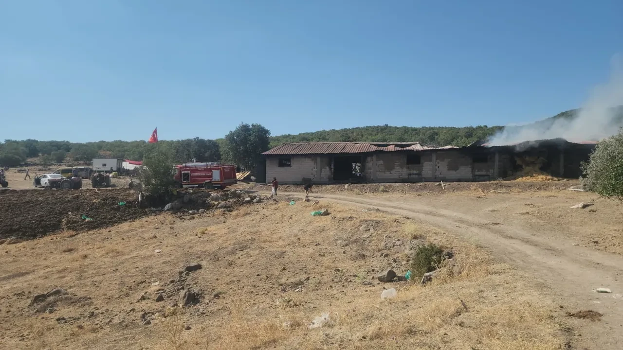 Konya'da ahırda yangın: Büyükbaş hayvanları öldü!