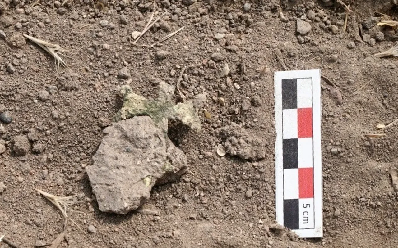 Sivas'ta ilginç keşif! 4 bin yıllık şehrin altından çıktı