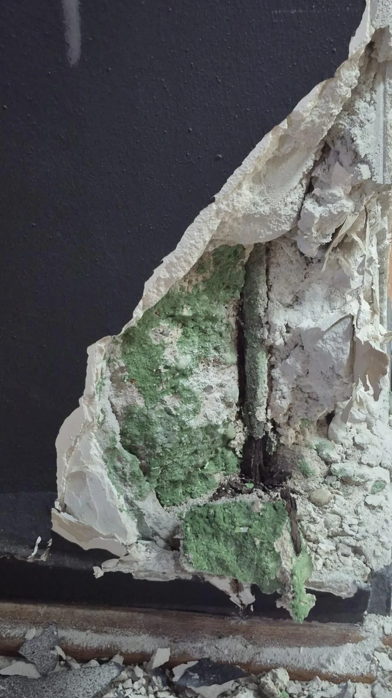 Antalya Müzesi yeniden doğuyor! Tarih yenileniyor, miras gelecekle buluşuyor