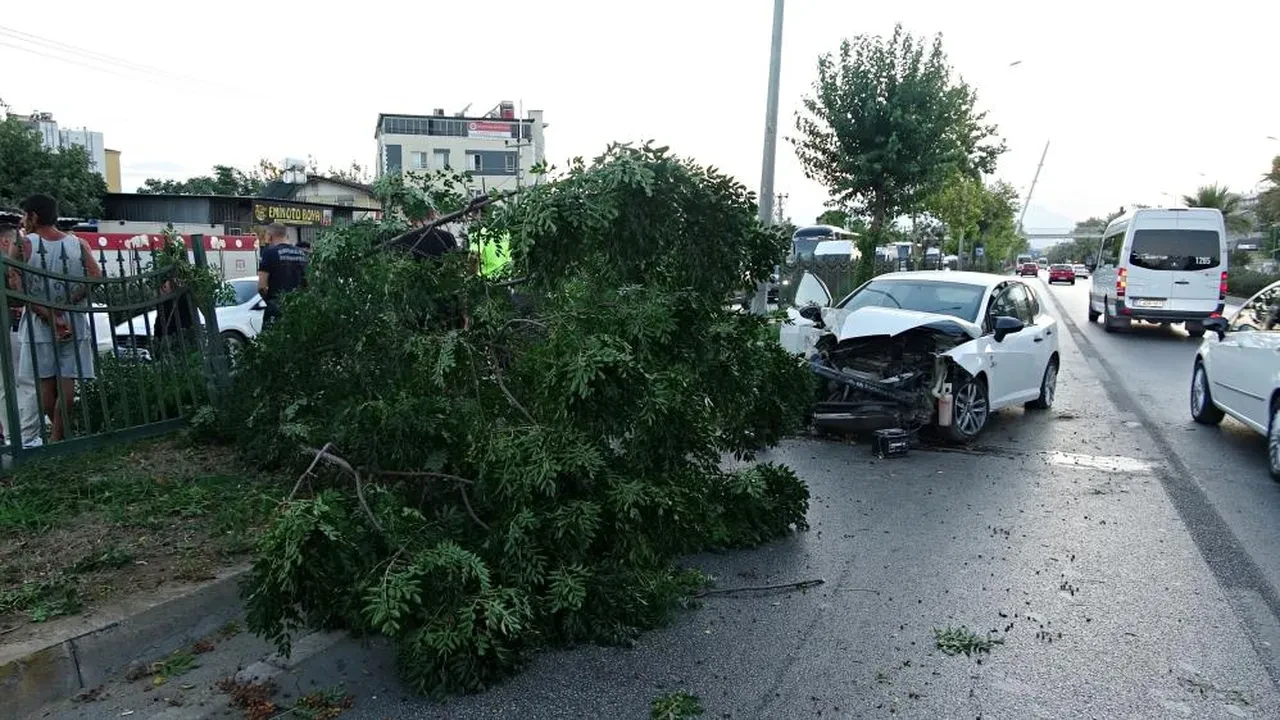 Antalya'da feci kaza! Ortalık savaş alanına döndü, kimsenin burnu bile kanamadı