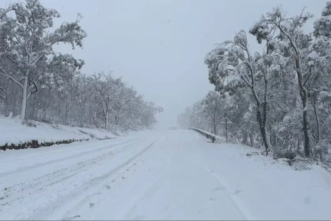 Avustralya'yı kış vurdu! Son 50 yılın en şiddetli kar yağışı