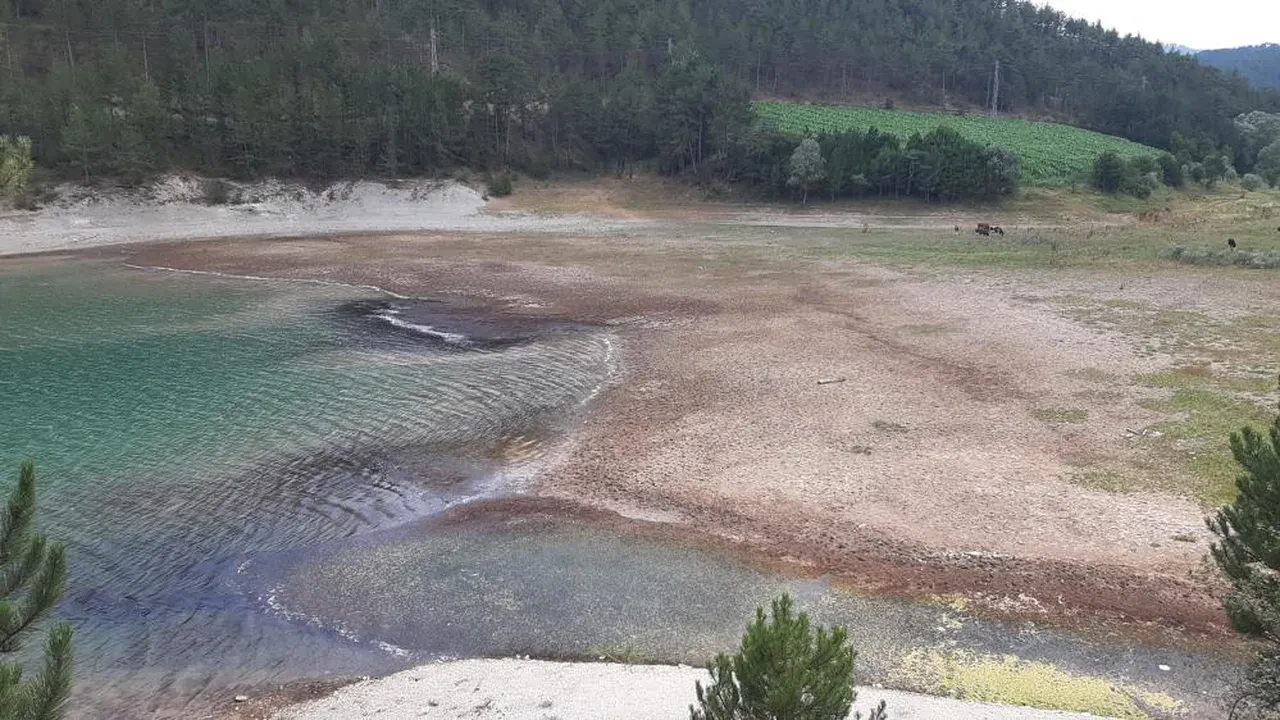 Bolu'da korkutan görüntü! Ünlü göl kuruma noktasına geldi