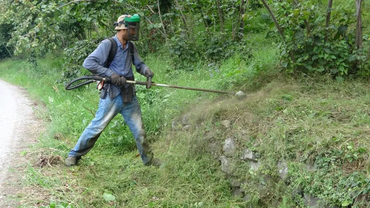 Bu işi yapmak bilek ister! Günlük yevmiyesi 6 bin lira