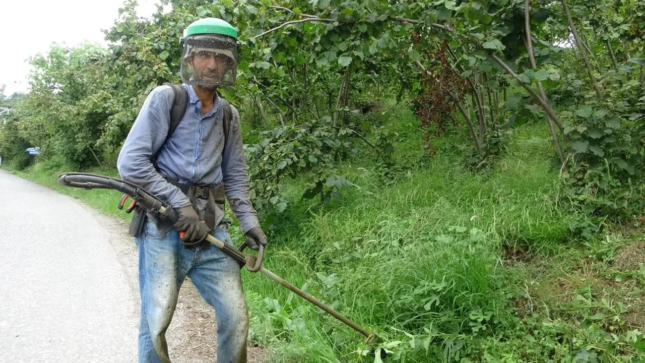 Bu işi yapmak bilek ister! Günlük yevmiyesi 6 bin lira