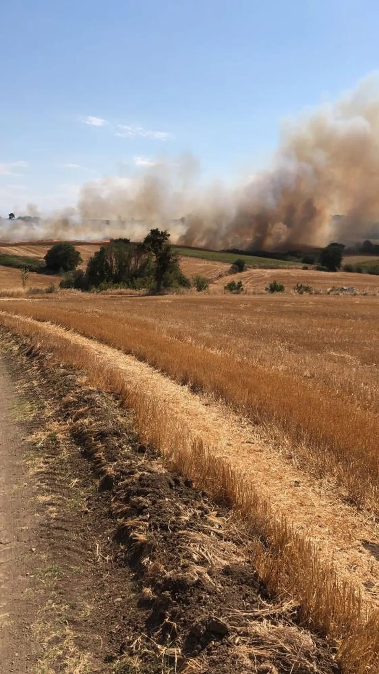 Çanakkale'de korkutan yangın