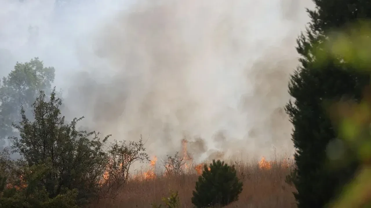 Kırklareli'nde korkutan yangın! Alevler söndürüldü