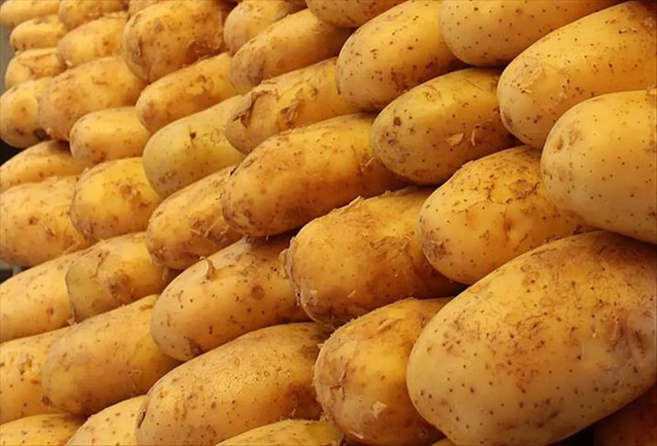 Temmuz ayının zam ve indirim şampiyonları! İşte listenin zirvesindekiler