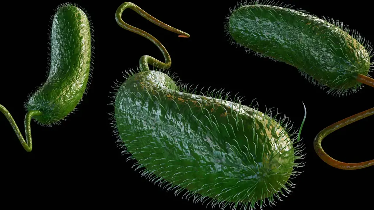 Et yiyen bakteri vakaları tırmandı: Çok sayıda ölü var! Uzmanlar uyarıyor