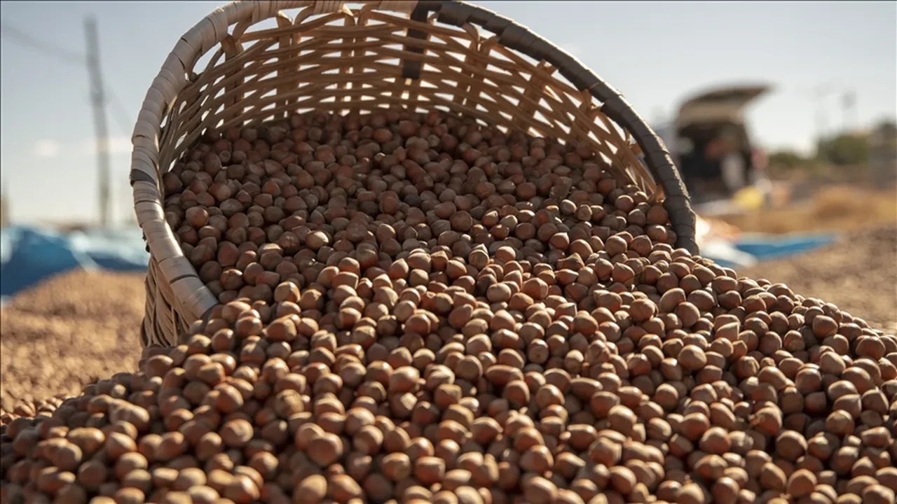 Fındık alım fiyatları belli oldu