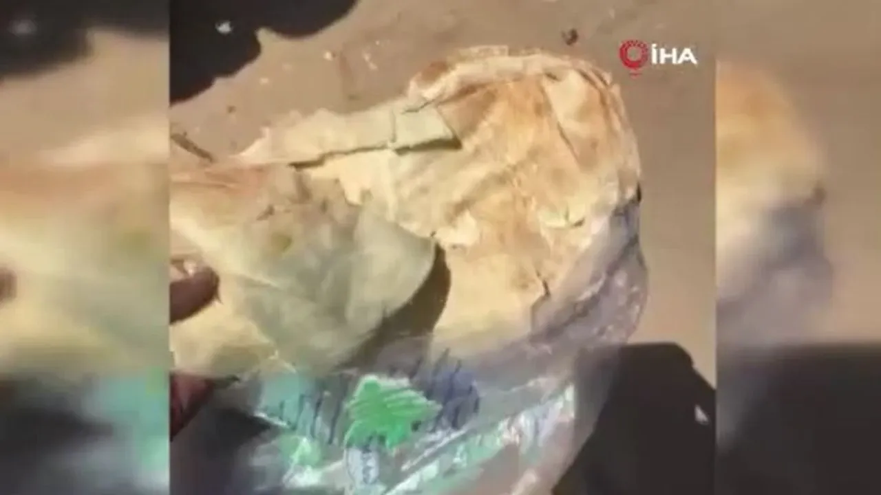 Gazze'de açlık büyüyor! Yardım paketlerinden küflü ekmek çıktı