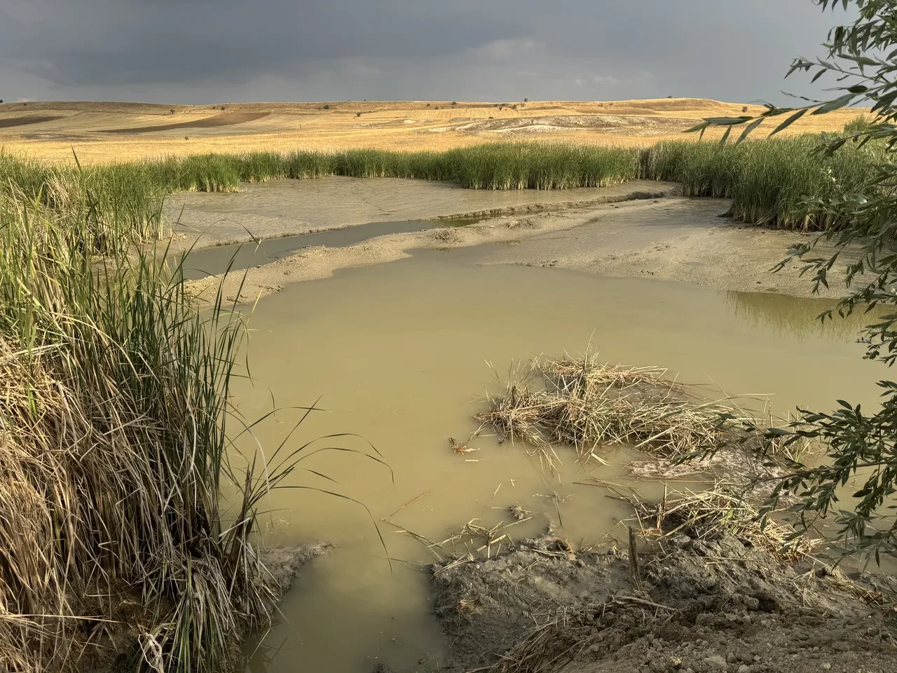 Gölette facia! Bataklığa saplanan 2 çocuk boğularak can verdi