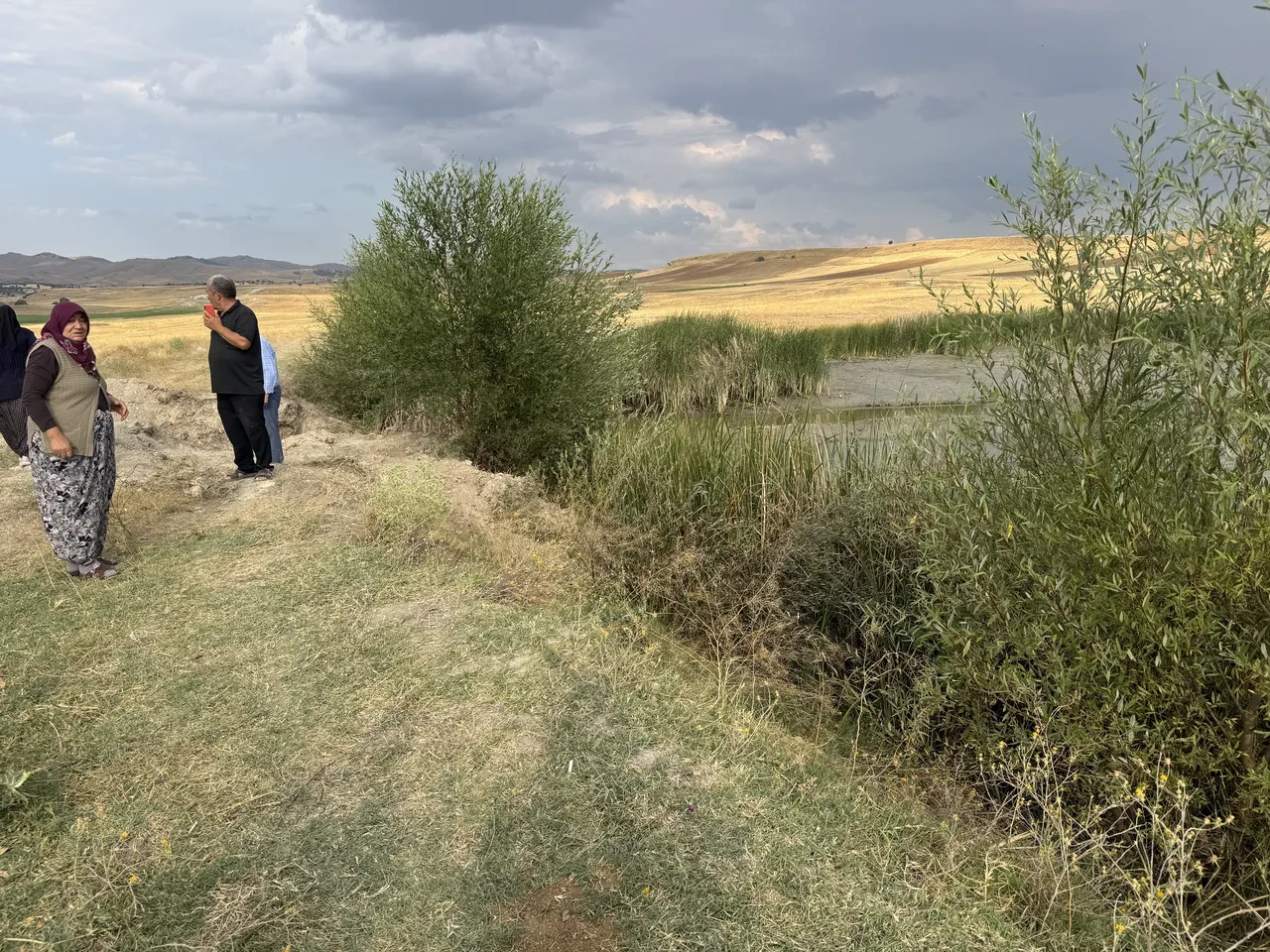 Gölette facia! Bataklığa saplanan 2 çocuk boğularak can verdi