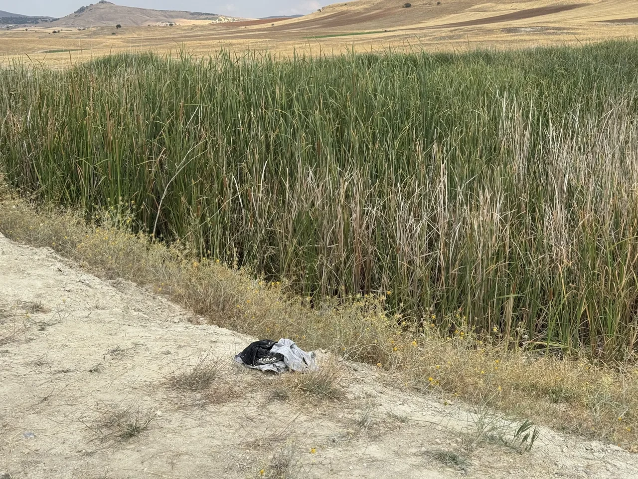 Gölette facia! Bataklığa saplanan 2 çocuk boğularak can verdi