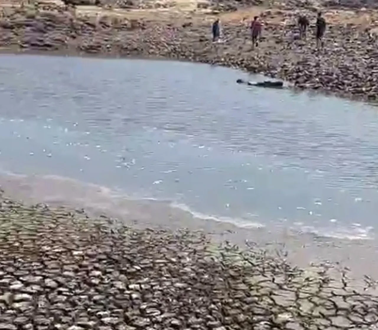 Görenler şoke oldu! Gölet suyu çekildi, bölgeyi kötü koku sardı