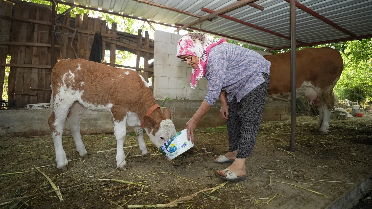 Kim Milyoner Olmak İster ile ünlendi, Türkiye onu konuşuyor! 74 yaşından sonra fenomen oldu