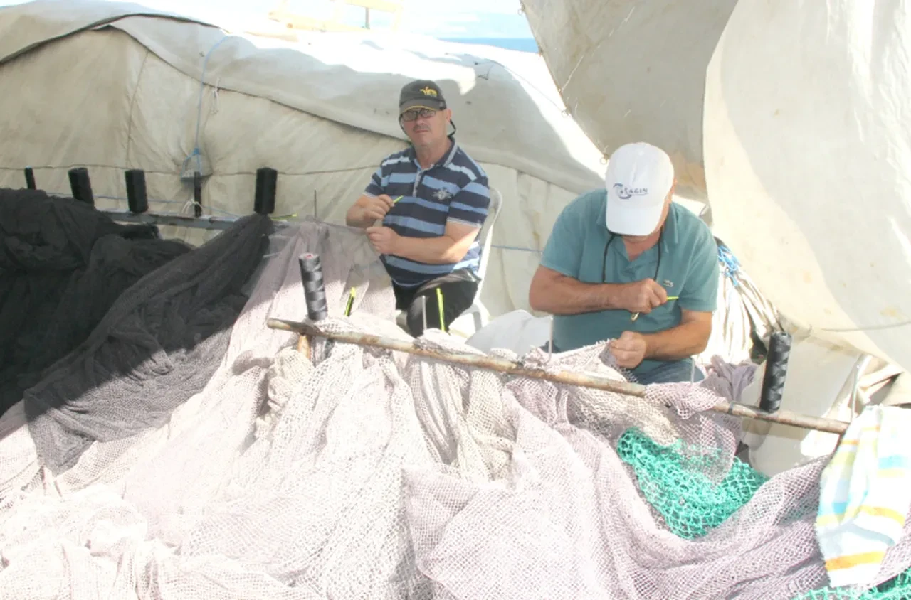 Sardalya ve hamsi bolluğu yaşanacak! Balıkçılar heyecanla 'vira bismillah' demeyi bekliyor