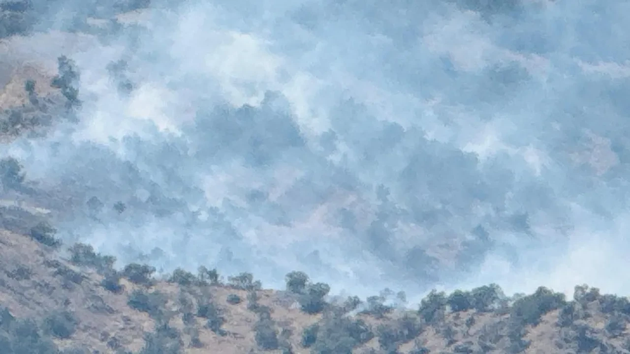 Şırnak’ta orman yangını! Alevler yayılıyor