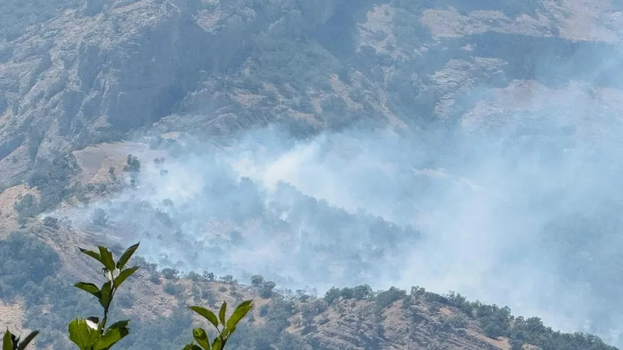 Şırnak’ta orman yangını! Alevler yayılıyor