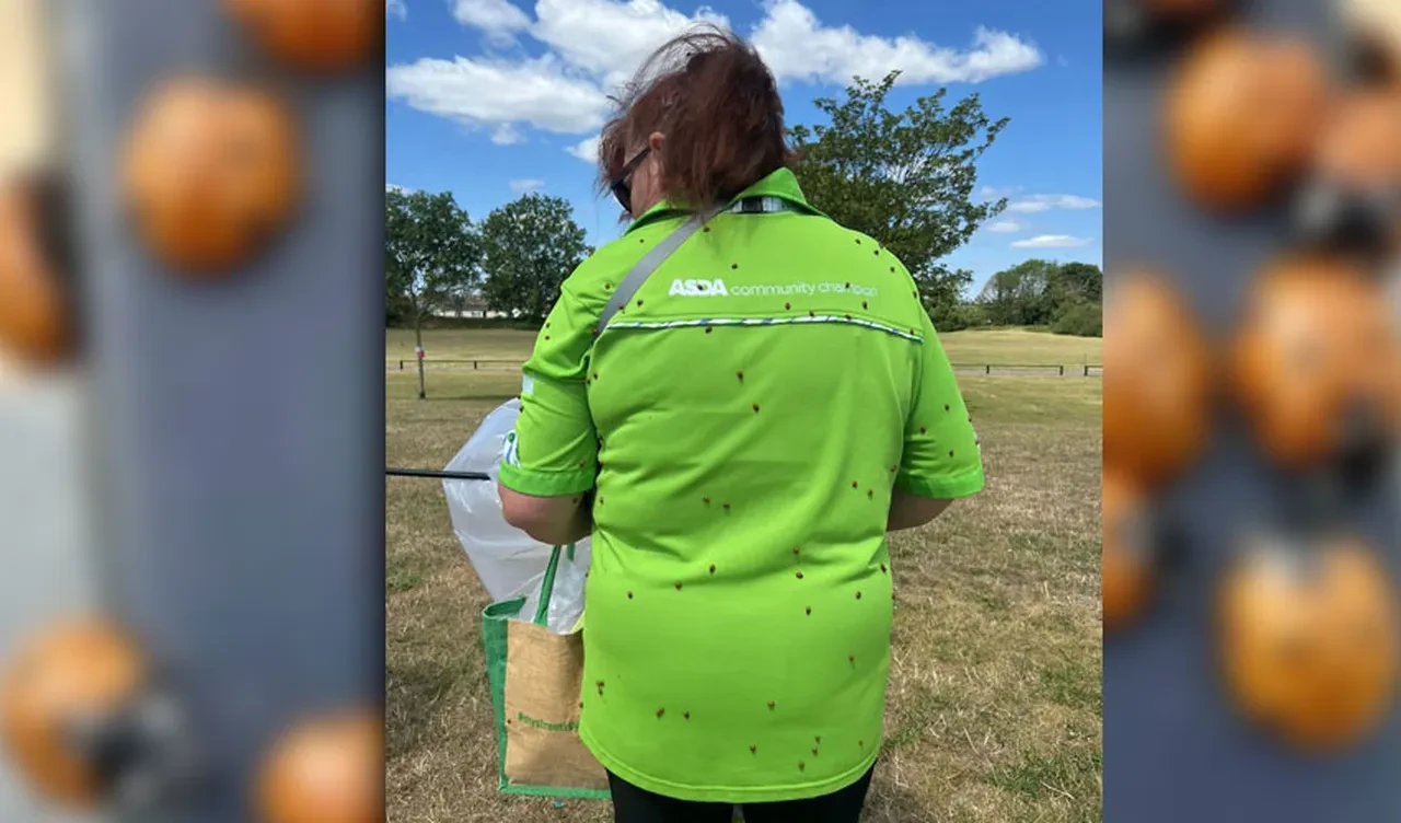 Uğur böcekleri kasabayı sardı insanlara saldırmaya başladı! Zararsız olarak biliniyorlardı