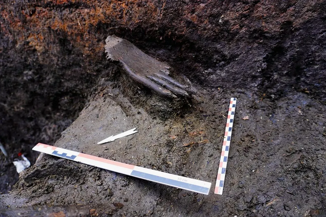 Bataklıktan çıktı: 6 parmaklı ve 7 bin yıllık