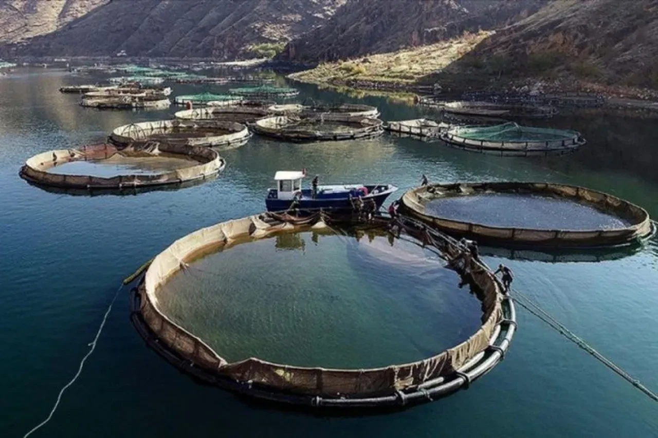 Bursa barajları alarm veriyor! Belediye başkanından vatandaşlara tasarruf çağrısı 