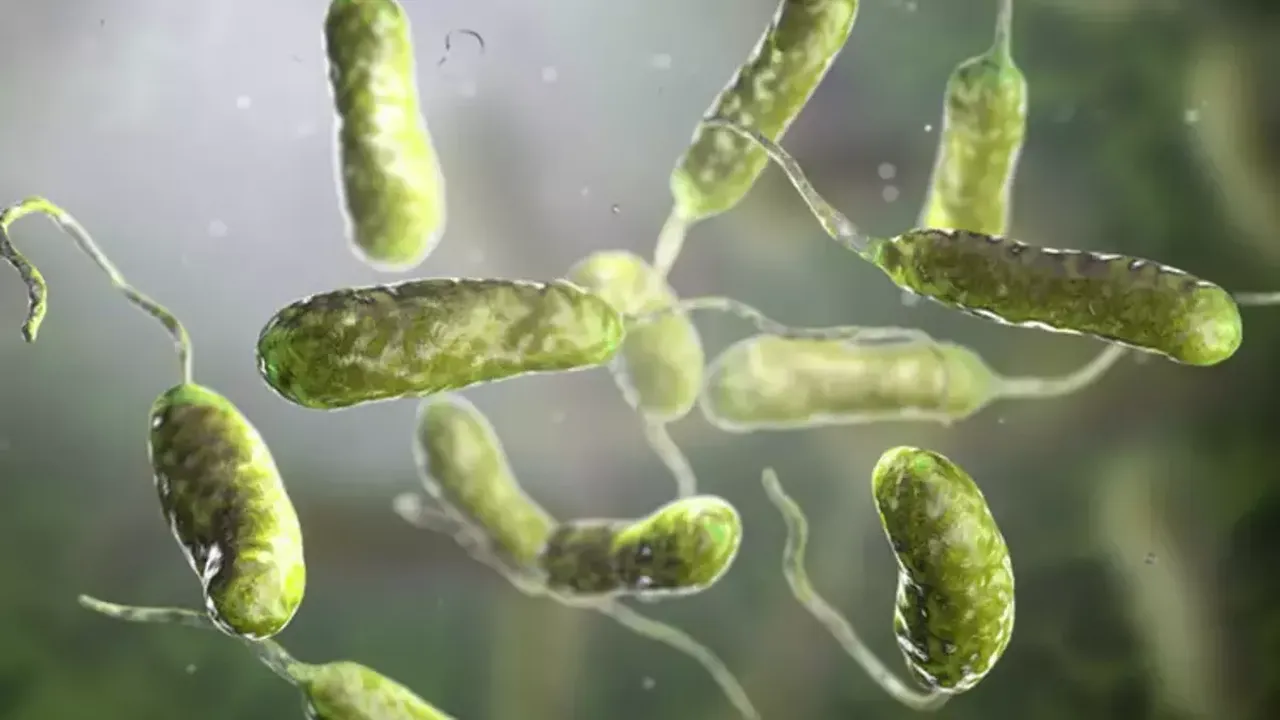 Dünyayı tedirgin eden yeni salgın Türkiye'de görüldü mü? Bakanlık'tan et yiyen bakteri açıklaması