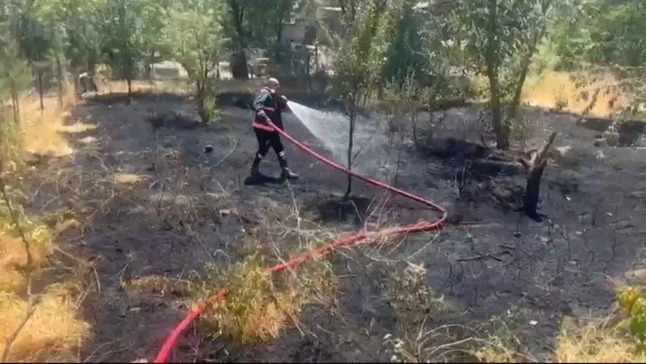 Elazığ'da bahçe yangını: Ekiplerden hızlı müdahale!