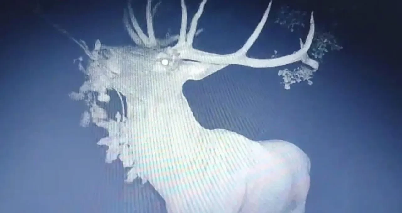 Gerçeği fotokapan sayesinde öğrendiler! Görüntüleri izleyen çiftçiler şaşkınlığını gizleyemedi 