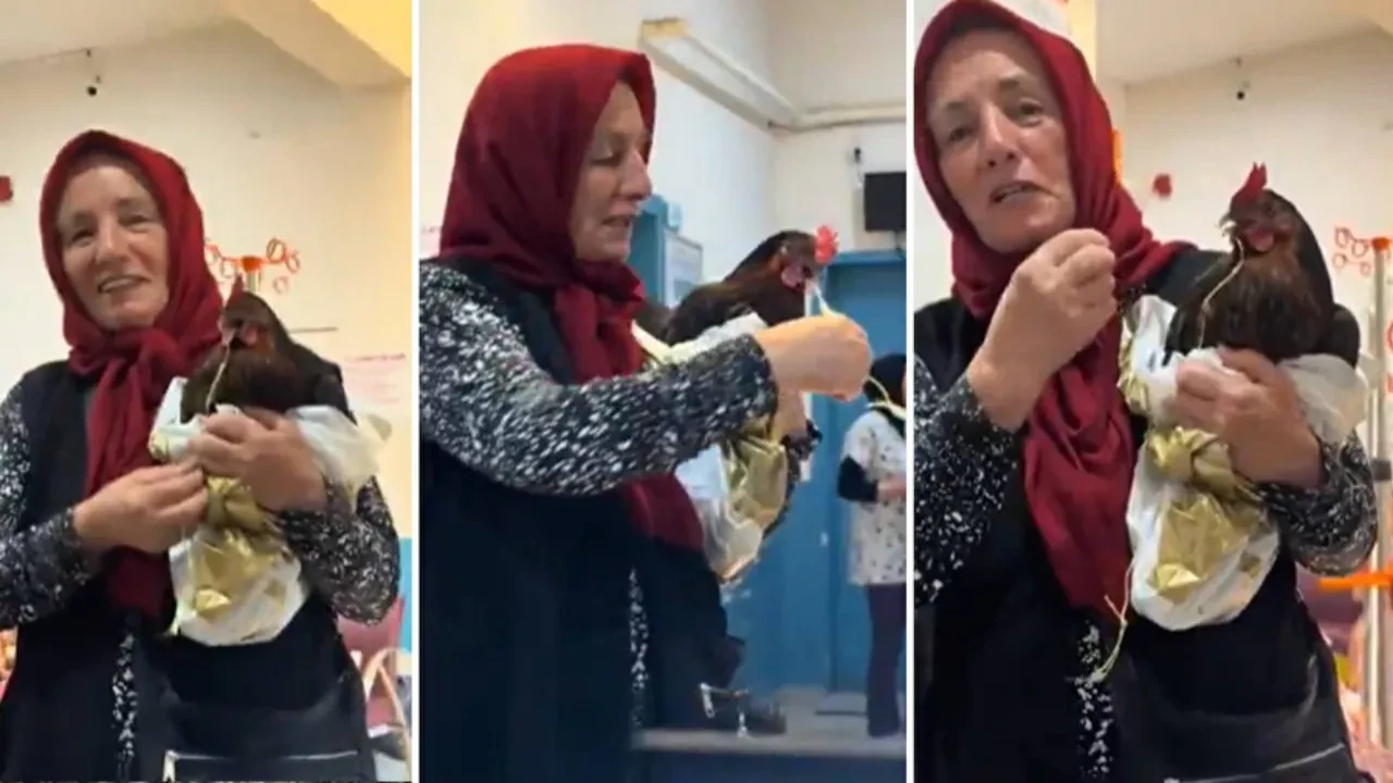 Tavuğunu röntgen çektirmek için hastaneye getirdi