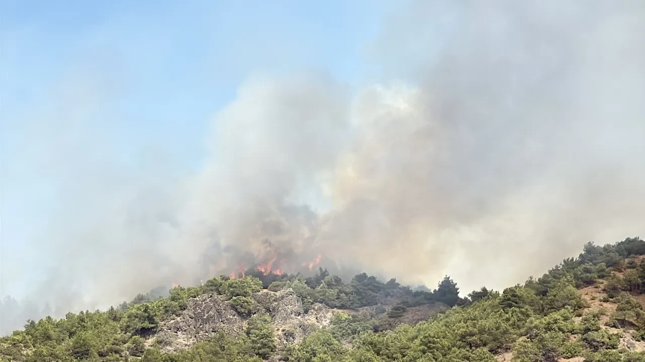 Tokat'ta orman yangını! 500 dönümlük alan zarar gördü