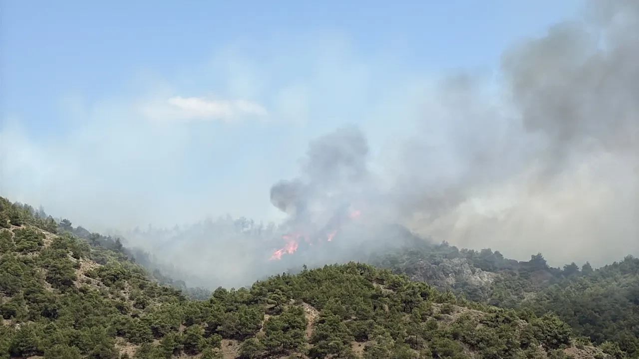 Tokat'ta orman yangını! 500 dönümlük alan zarar gördü