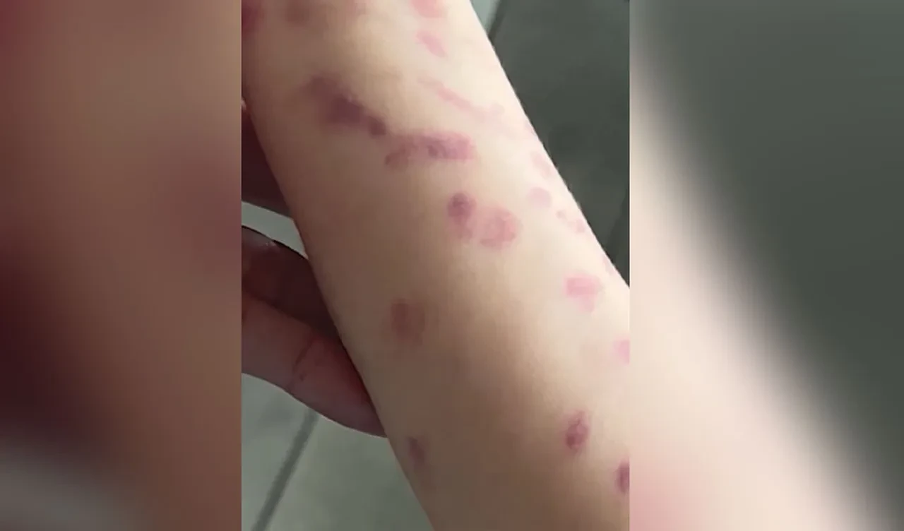 Akvaryum gezisi kabusa dönüştü! Dev ahtapot küçük çocuğun kolunu kaptı