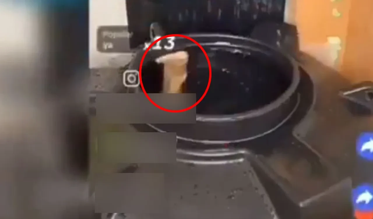 Canlı yayında izleyenlere hava atmak istedi! Su tankına giren fenomen bir daha çıkamadı