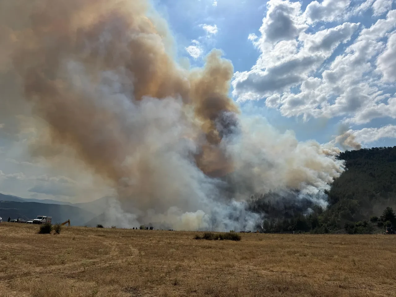 Karabük'te orman yangını! Kenti yine alevler sardı