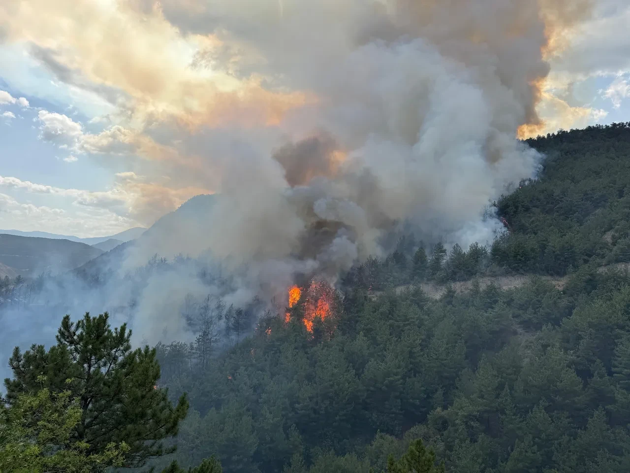 Karabük'te orman yangını! Kenti yine alevler sardı