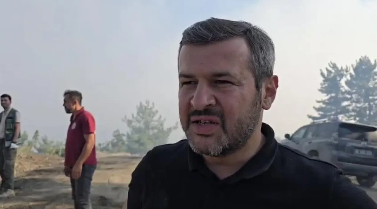 Karabük'te orman yangını! Kenti yine alevler sardı