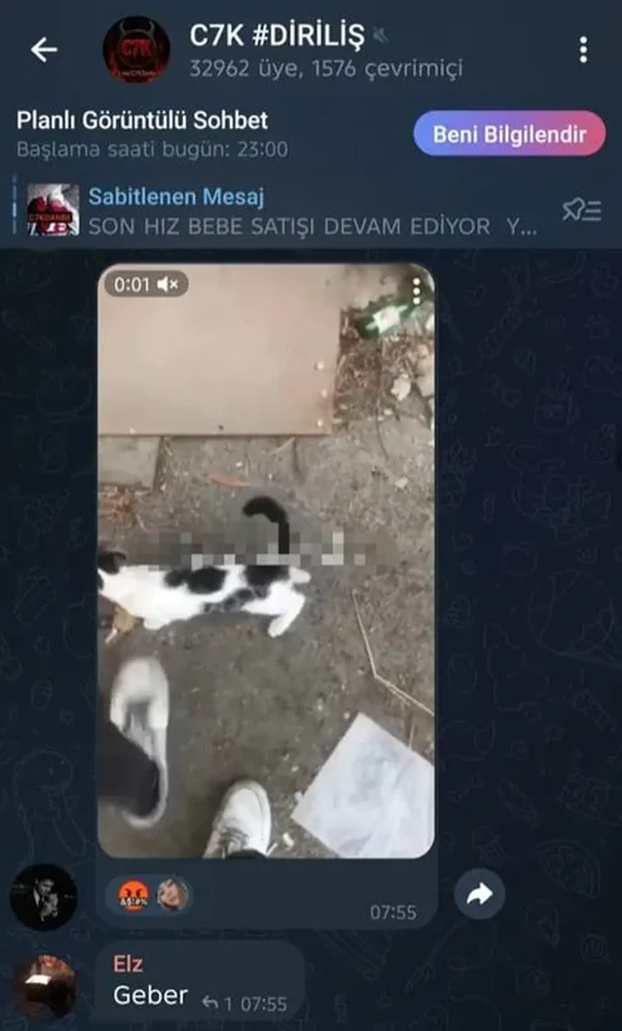 Telegram'da korkunç çete! Hayvana işkence yayınları, kan donduran tehditler: 'Kızının kafasını keseceğiz'