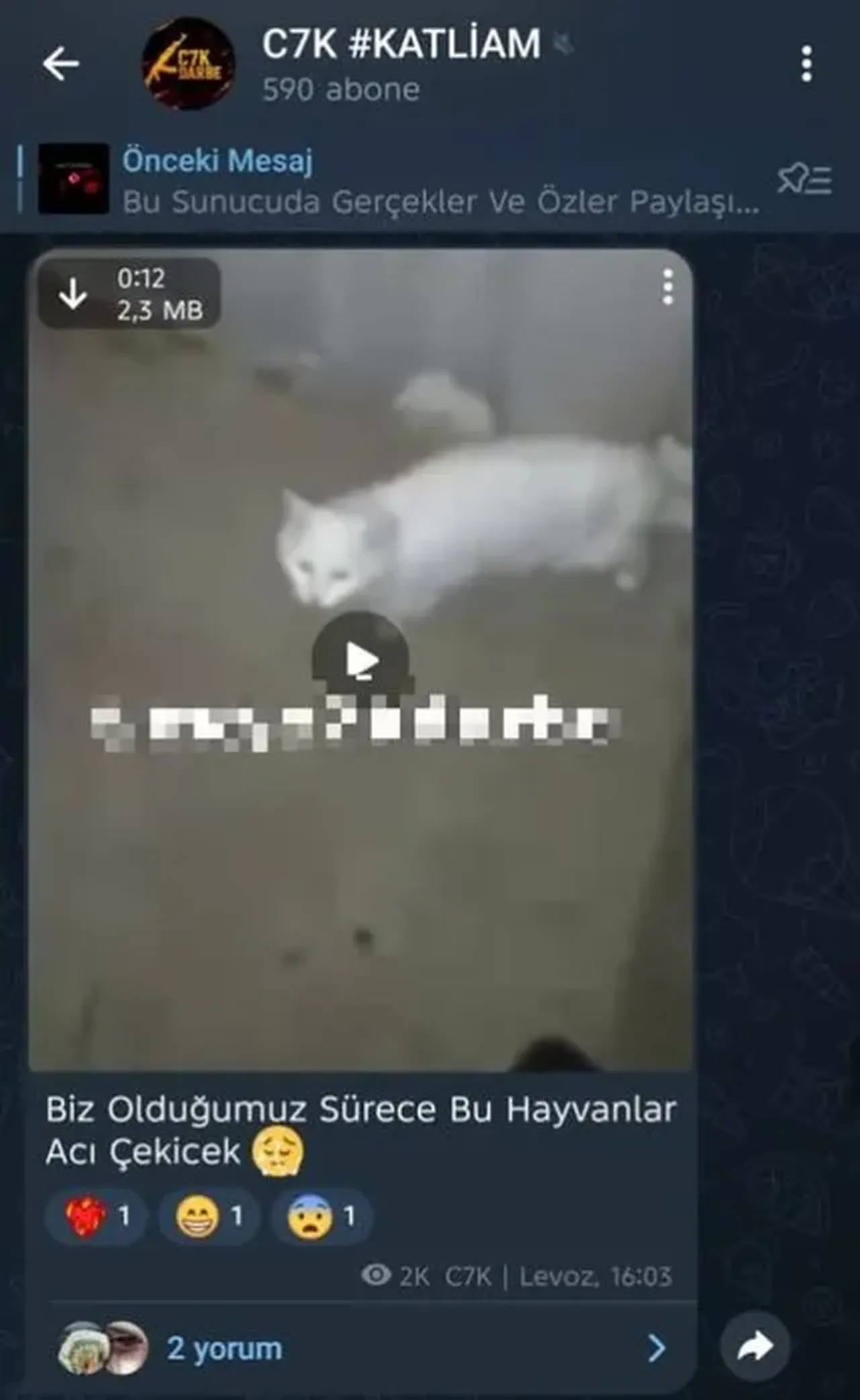 Telegram'da korkunç çete! Hayvana işkence yayınları, kan donduran tehditler: 'Kızının kafasını keseceğiz'