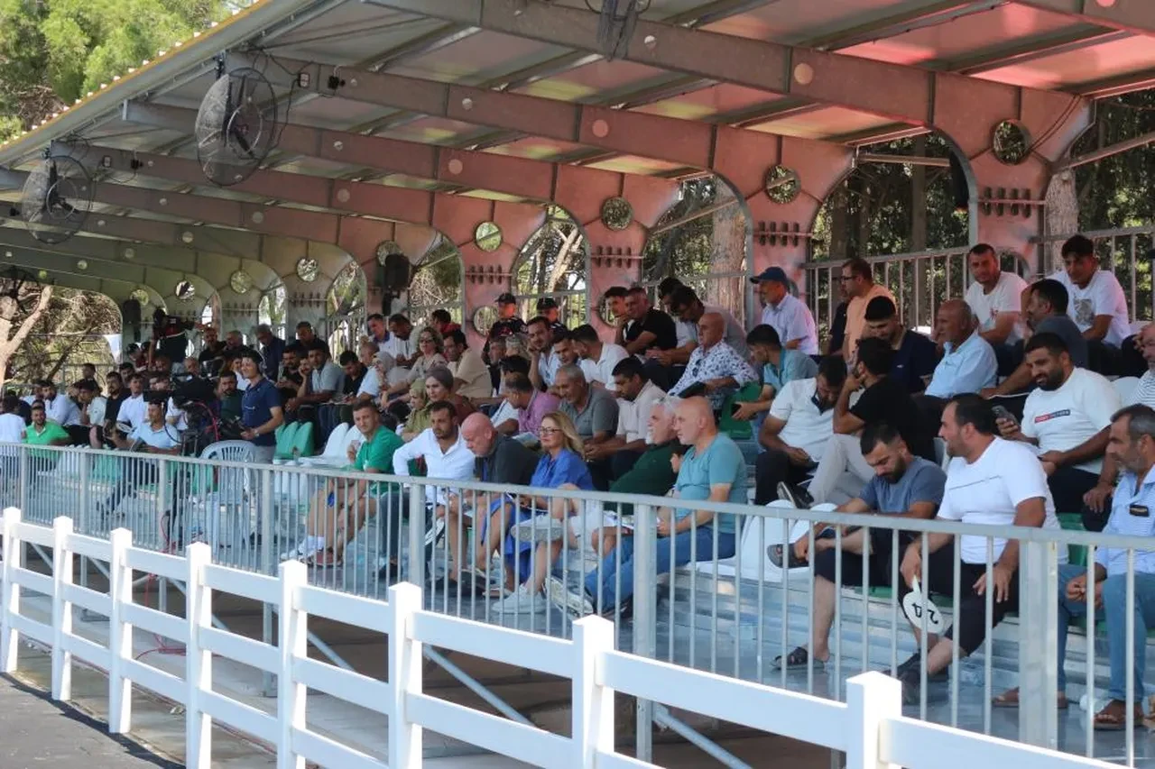 TİGEM’in en yüksek bedelli tayının fiyatı belli oldu!